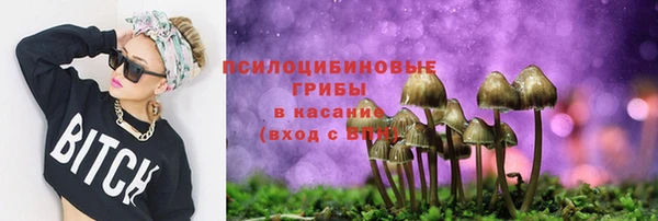 ECSTASY Аркадак