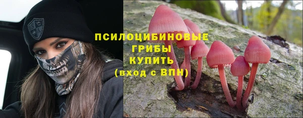 гидропоника Арсеньев