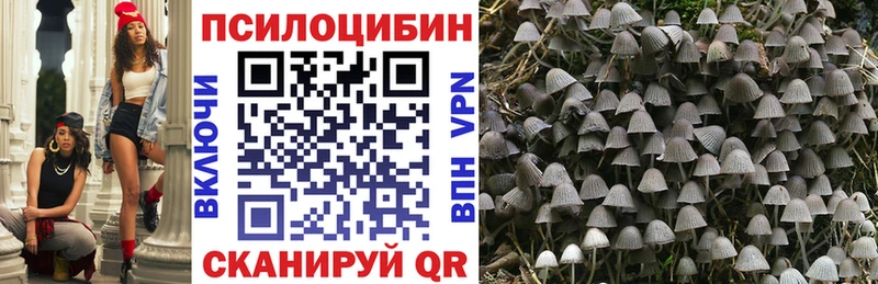 ОМГ ОМГ маркетплейс Полярный Галлюциногенные грибы мицелий закладки